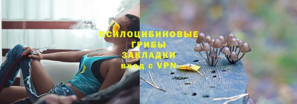 дмт Кукмор