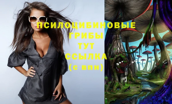 дмт Кукмор