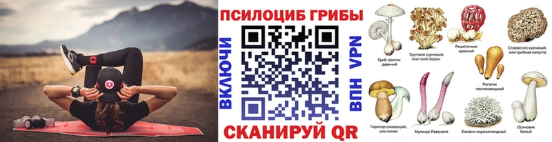 Псилоцибиновые грибы Cubensis  Иркутск 